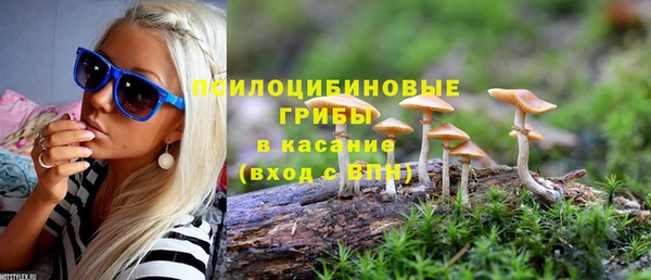 марки nbome Ельня