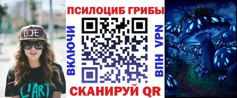 Галлюциногенные грибы Cubensis  закладка  Орёл 